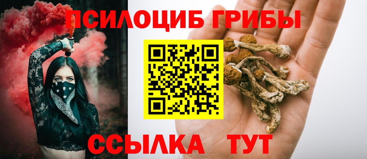 Галлюциногенные грибы Psilocybe  Вход с VPN  Советский  Галлюциногенные грибы Magic Shrooms 